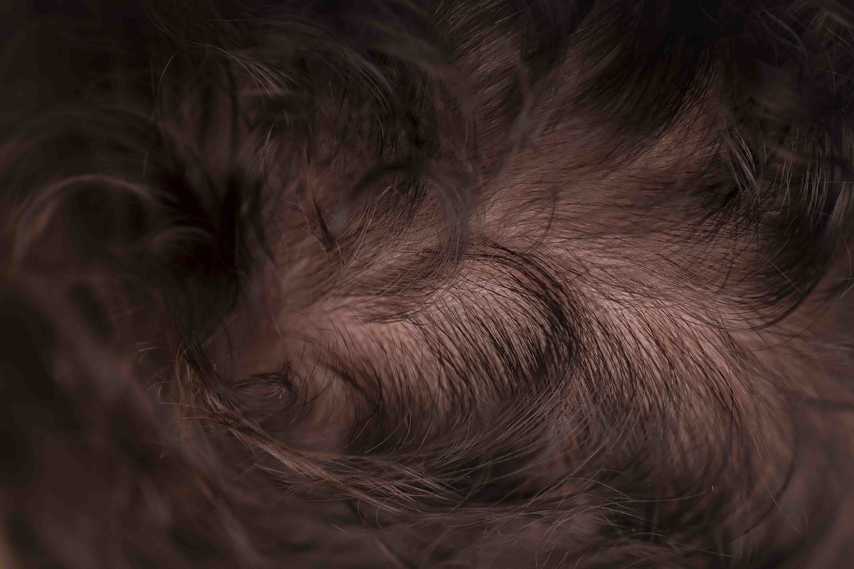 ensaio recem nascido recém-nascido bebe new born newborn