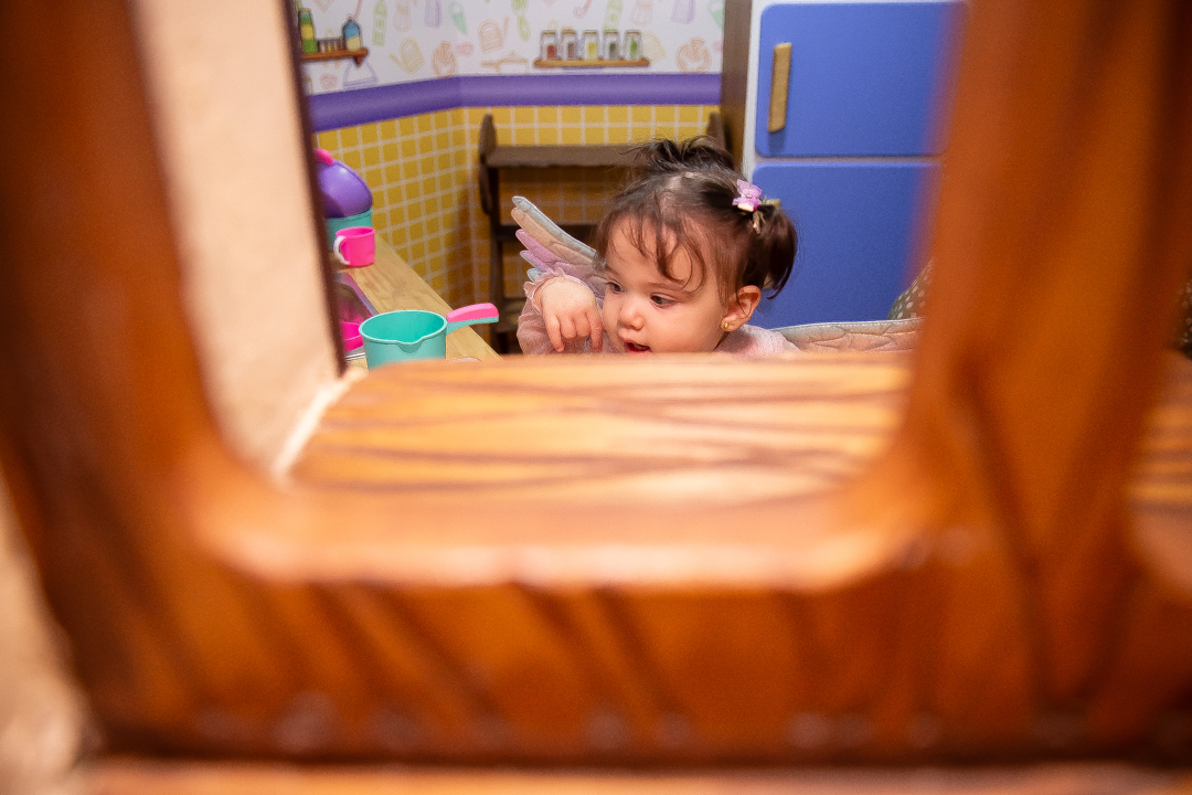 festa de aniversario 1 ano menina tema fada fadinha casa fantastica belo horizonte