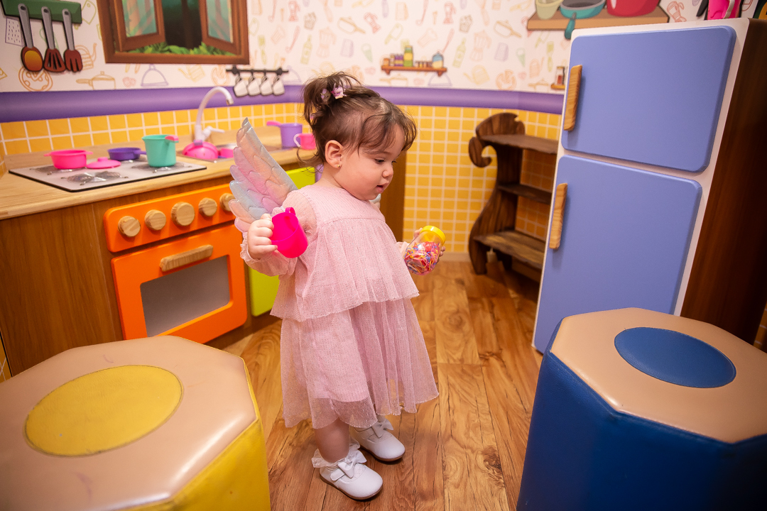 festa de aniversario 1 ano menina tema fada fadinha casa fantastica belo horizonte