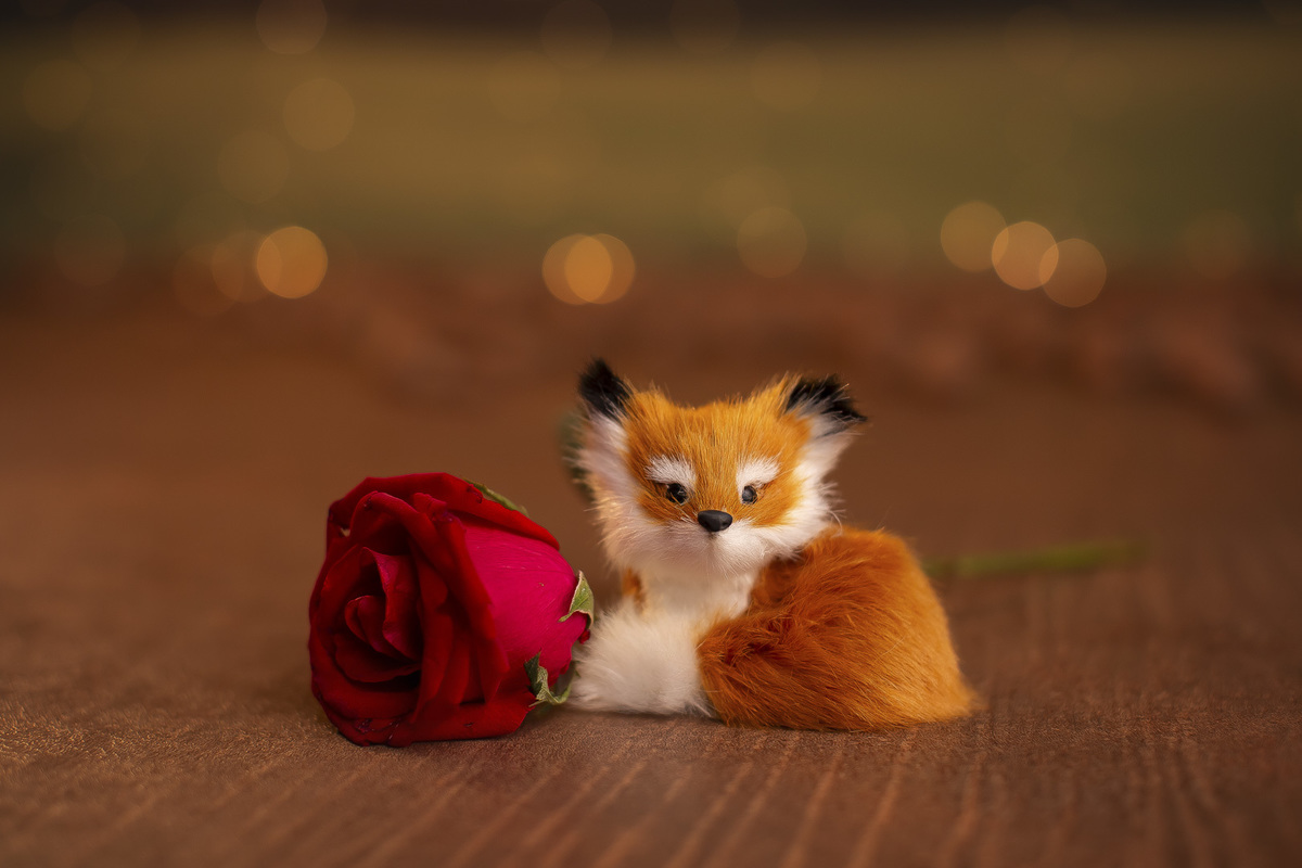 Ensaio Pequeno Principe smash aniversario 2 anos menino