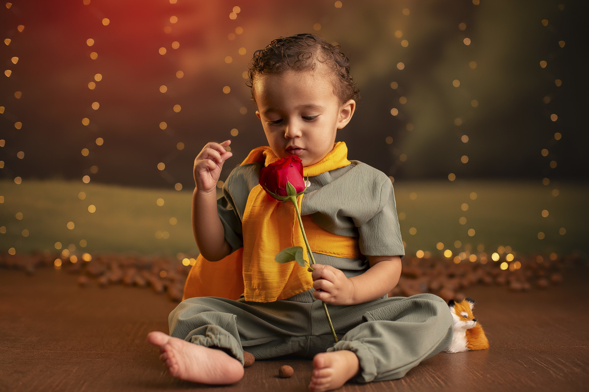 Ensaio Pequeno Principe smash aniversario 2 anos menino