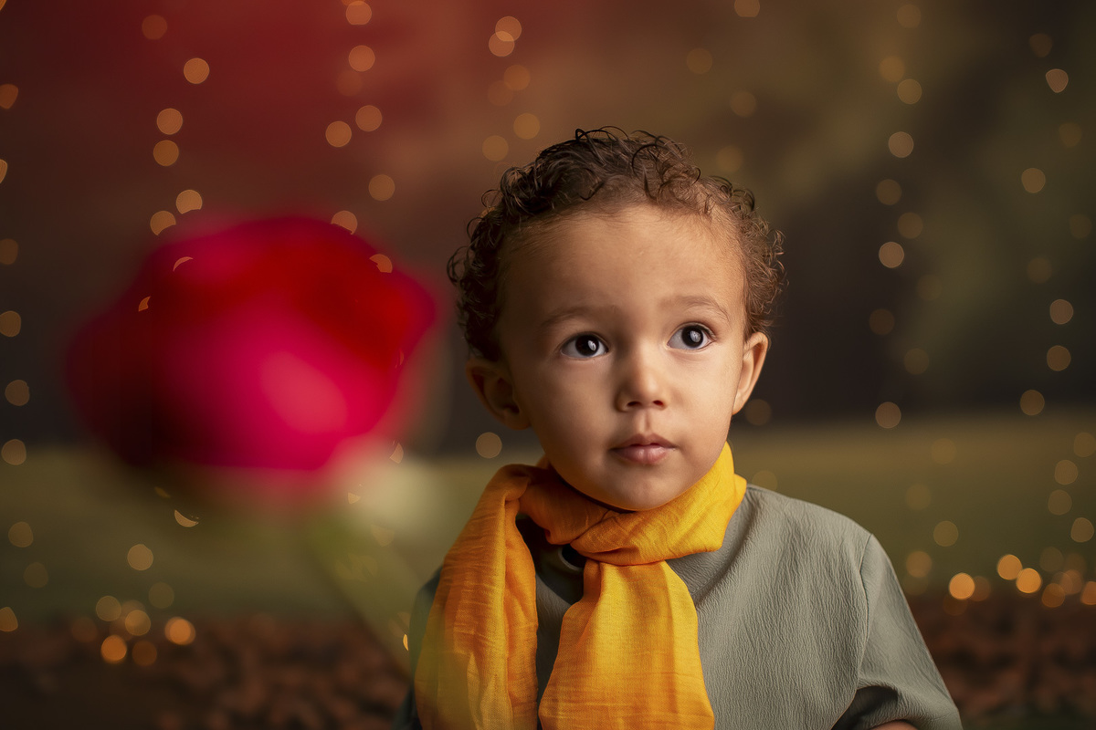 Ensaio Pequeno Principe smash aniversario 2 anos menino