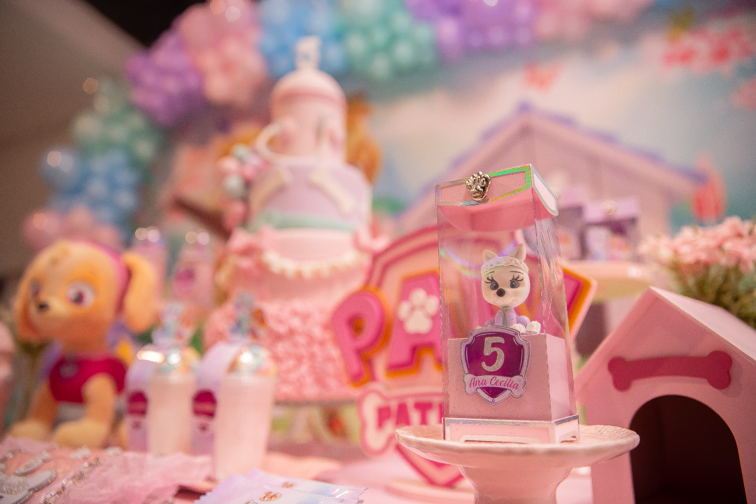 festa infantil aniversario 5 anos casa fantastica patrulha canina menina