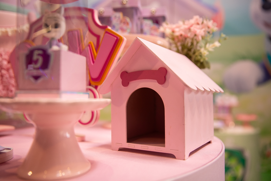 festa infantil aniversario 5 anos casa fantastica patrulha canina menina