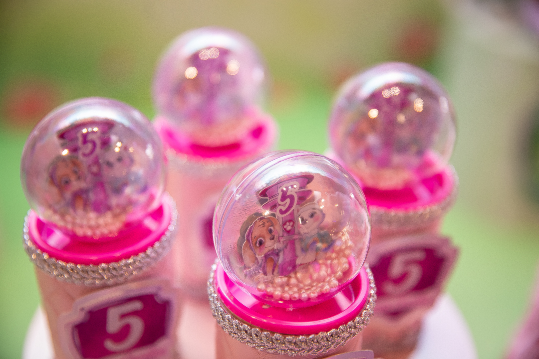 festa infantil aniversario 5 anos casa fantastica patrulha canina menina