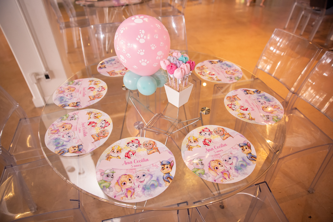 festa infantil aniversario 5 anos casa fantastica patrulha canina menina