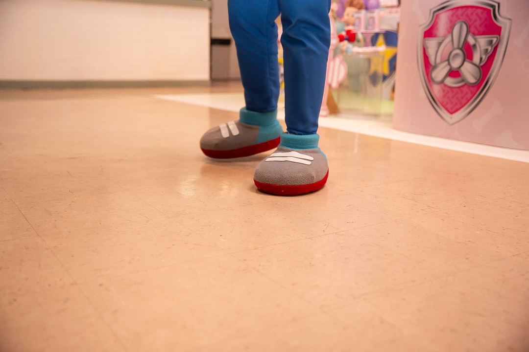 festa infantil aniversario 5 anos casa fantastica patrulha canina menina