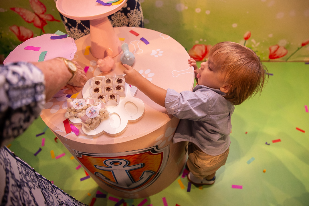 festa infantil aniversario 5 anos casa fantastica patrulha canina menina