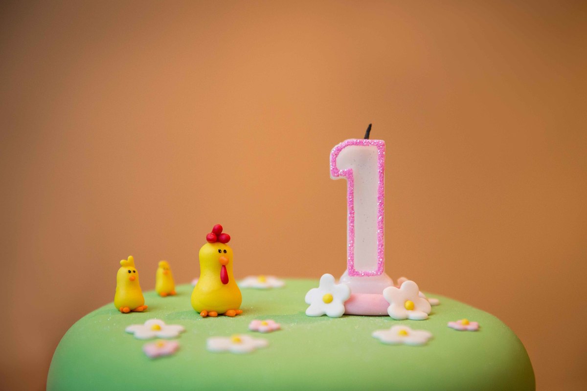 aniversario infantil 1 ano fazendinha fazenda bebe bebê crianca criança menina salo predio casa