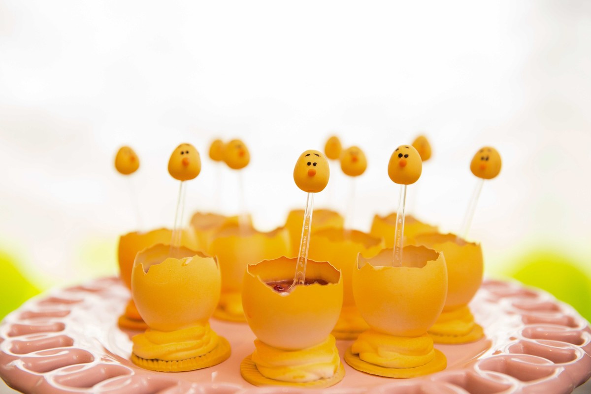 aniversario infantil 1 ano fazendinha fazenda bebe bebê crianca criança menina salo predio casa