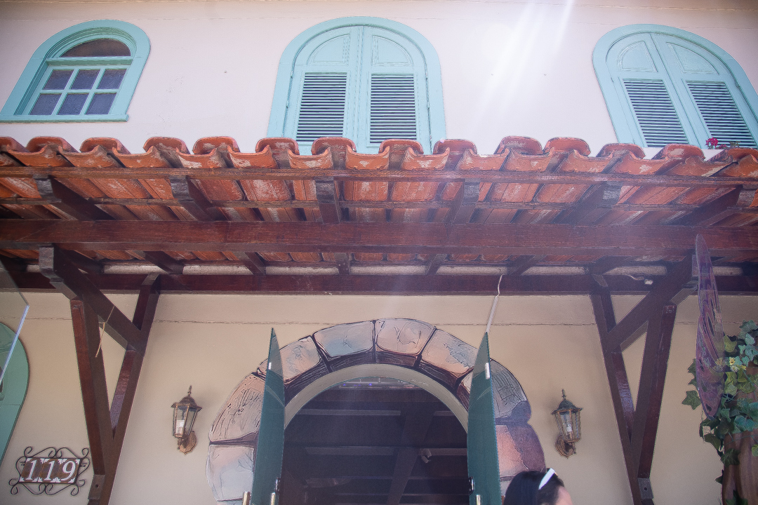 aniversário infantil festa de 1 ano tema rapunzel família ensaio de festa infantil fotografias cobertura fotográfica BH primeiro aninho menina fotos niver cobertura festa evento casa da fada madrinha