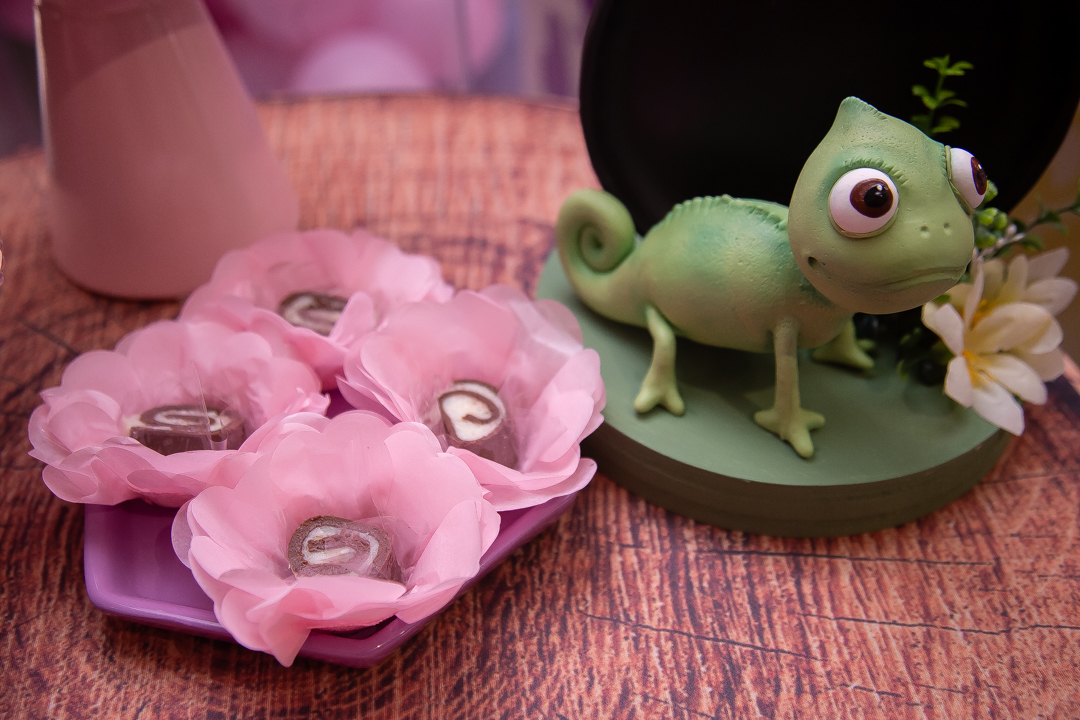 aniversário infantil festa de 1 ano tema rapunzel família ensaio de festa infantil fotografias cobertura fotográfica BH primeiro aninho menina fotos niver cobertura festa evento casa da fada madrinha