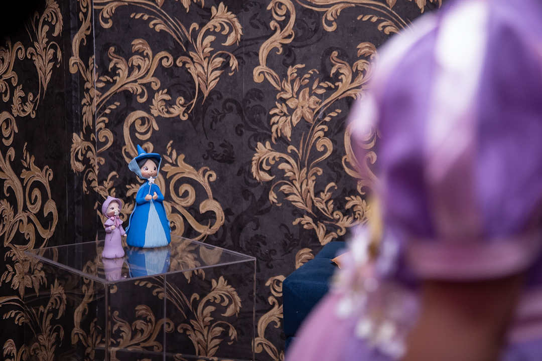 aniversário infantil festa de 1 ano tema rapunzel família ensaio de festa infantil fotografias cobertura fotográfica BH primeiro aninho menina fotos niver cobertura festa evento casa da fada madrinha