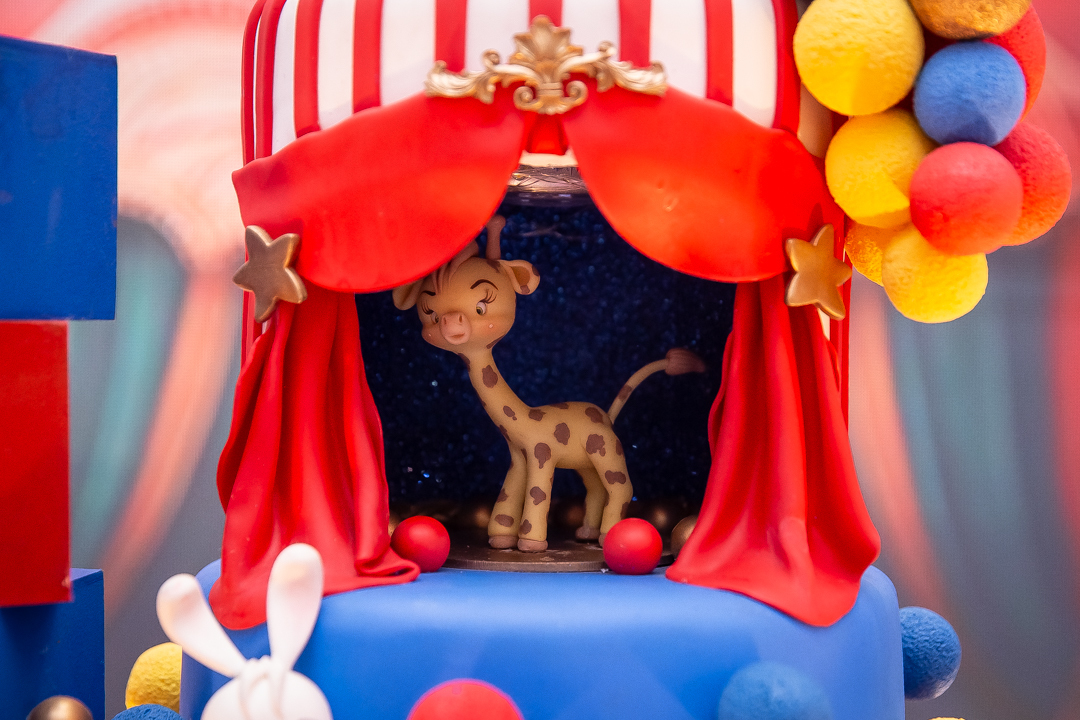 festa de 1 ano aniversário 1 aninho cobertura fotográfica de festa infantil em BH fotografia de aniversário infantil fotógrafo de festas infantis em Belo Horizonte fotos de aniversário 1 anos niver festa tema circo