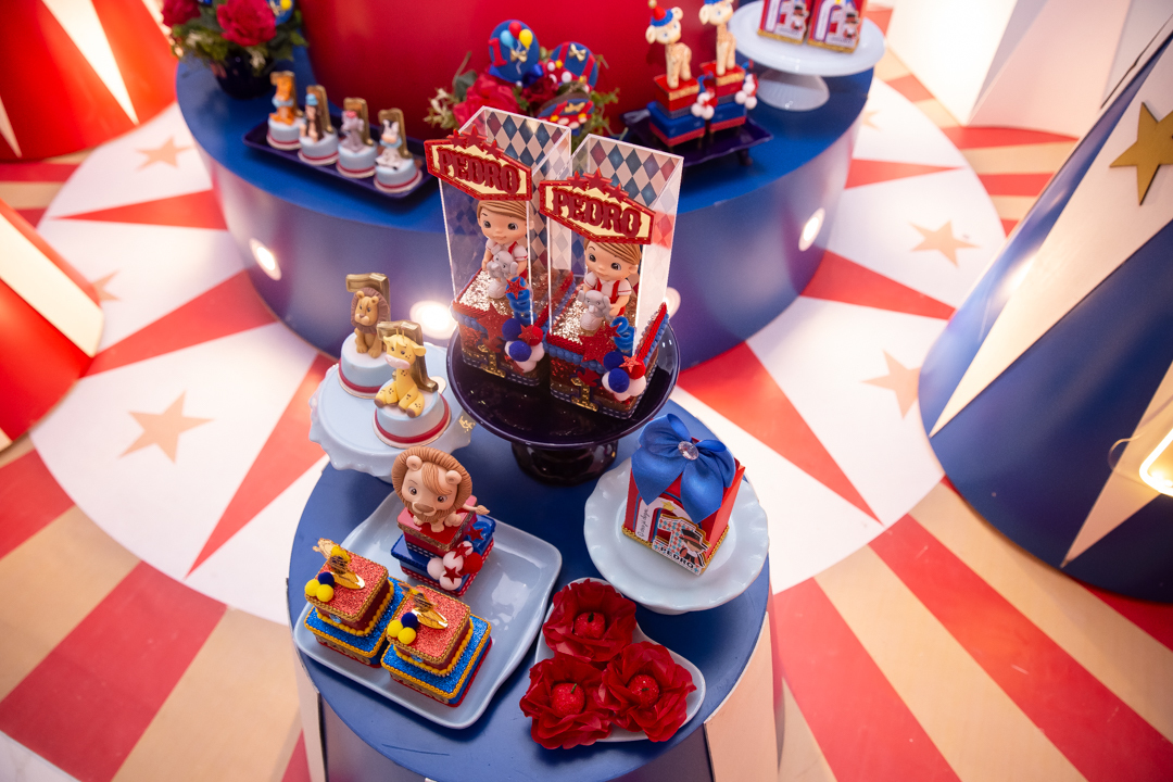 festa de 1 ano aniversário 1 aninho cobertura fotográfica de festa infantil em BH fotografia de aniversário infantil fotógrafo de festas infantis em Belo Horizonte fotos de aniversário 1 anos niver festa tema circo