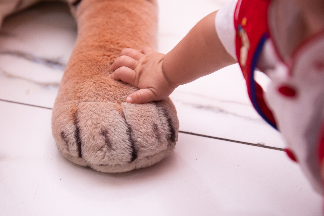 festa de 1 ano aniversário 1 aninho cobertura fotográfica de festa infantil em BH fotografia de aniversário infantil fotógrafo de festas infantis em Belo Horizonte fotos de aniversário 1 anos niver festa tema circo