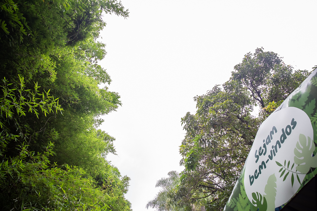 festa de 10 anos aniversário 10 anos cobertura fotográfica de festa infantil em BH fotografia de aniversário infantil fotógrafo de festas infantis em Belo Horizonte fotos de aniversário 10 anos niver festa tema bobbie goods