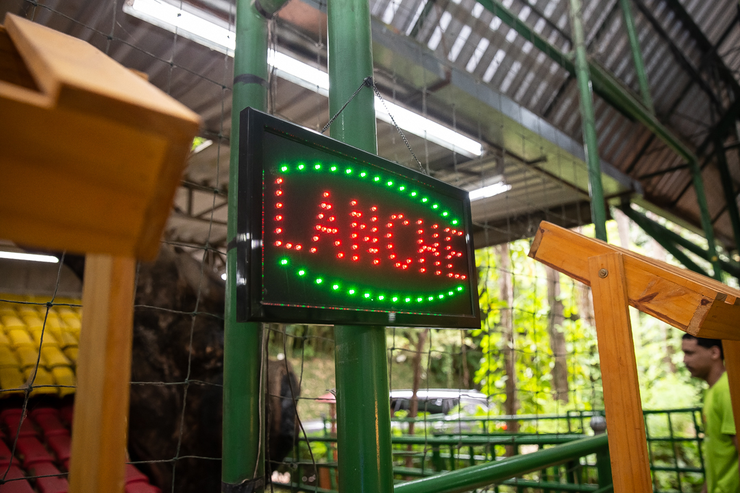 festa de 10 anos aniversário 10 anos cobertura fotográfica de festa infantil em BH fotografia de aniversário infantil fotógrafo de festas infantis em Belo Horizonte fotos de aniversário 10 anos niver festa tema bobbie goods