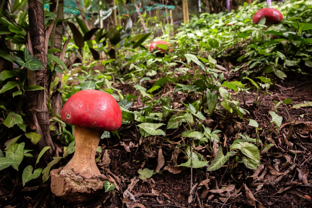 festa de 10 anos aniversário 10 anos cobertura fotográfica de festa infantil em BH fotografia de aniversário infantil fotógrafo de festas infantis em Belo Horizonte fotos de aniversário 10 anos niver festa tema bobbie goods