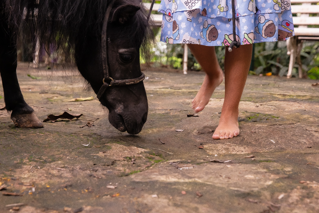 festa de 10 anos aniversário 10 anos cobertura fotográfica de festa infantil em BH fotografia de aniversário infantil fotógrafo de festas infantis em Belo Horizonte fotos de aniversário 10 anos niver festa tema bobbie goods