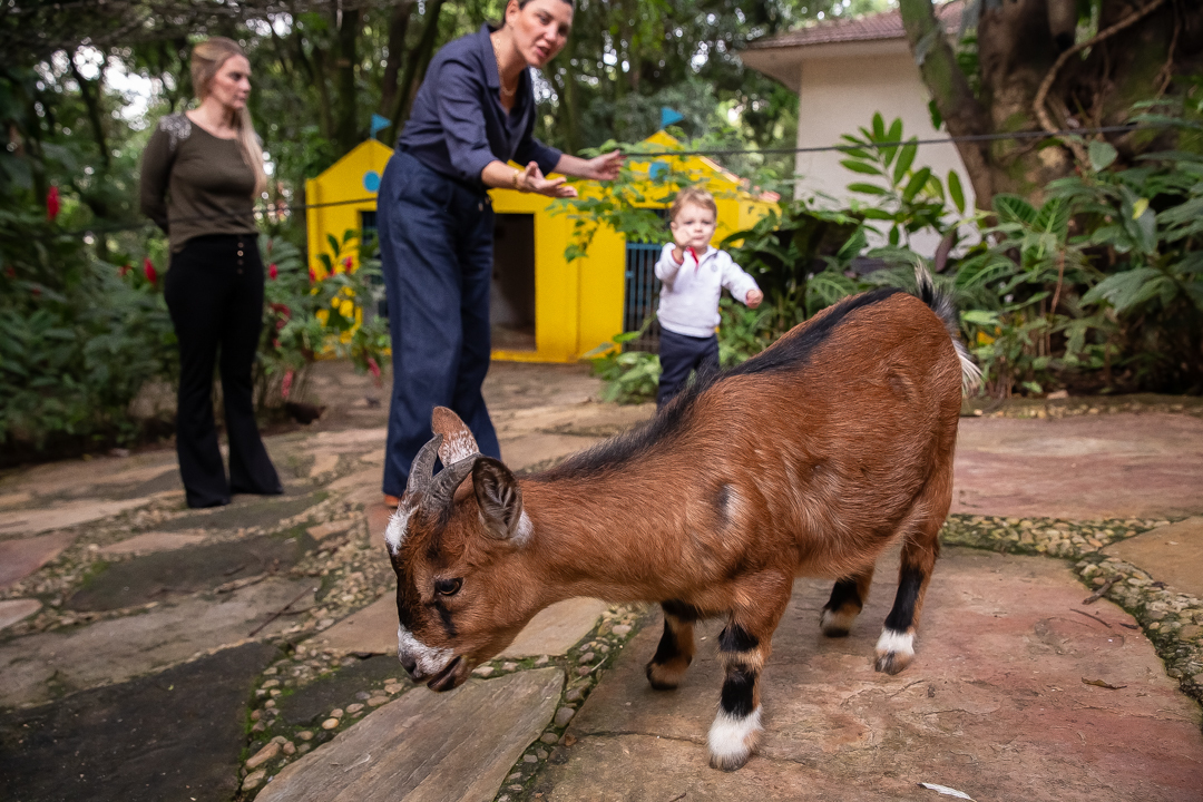 festa de 10 anos aniversário 10 anos cobertura fotográfica de festa infantil em BH fotografia de aniversário infantil fotógrafo de festas infantis em Belo Horizonte fotos de aniversário 10 anos niver festa tema bobbie goods