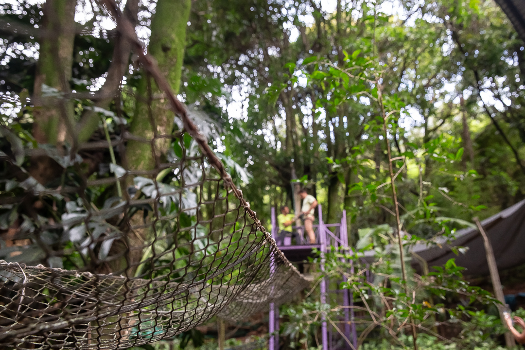 festa de 10 anos aniversário 10 anos cobertura fotográfica de festa infantil em BH fotografia de aniversário infantil fotógrafo de festas infantis em Belo Horizonte fotos de aniversário 10 anos niver festa tema bobbie goods