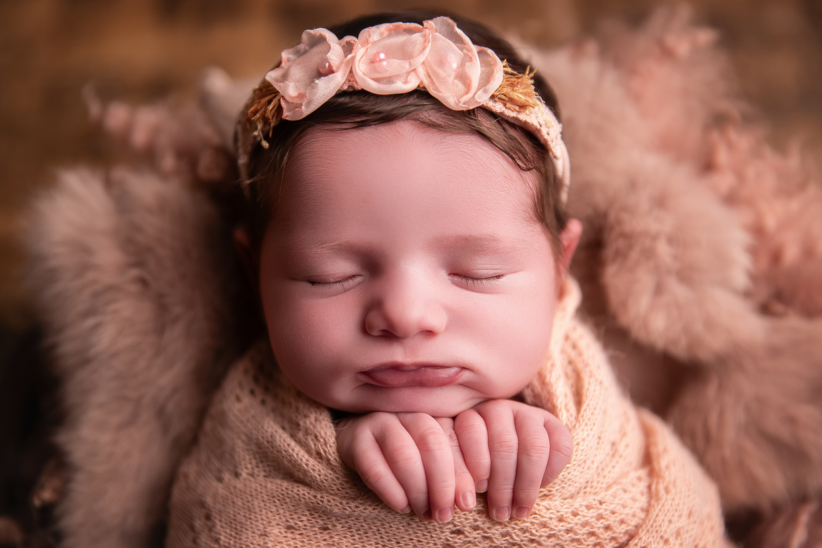 ensaio de família recem-nascido newborn