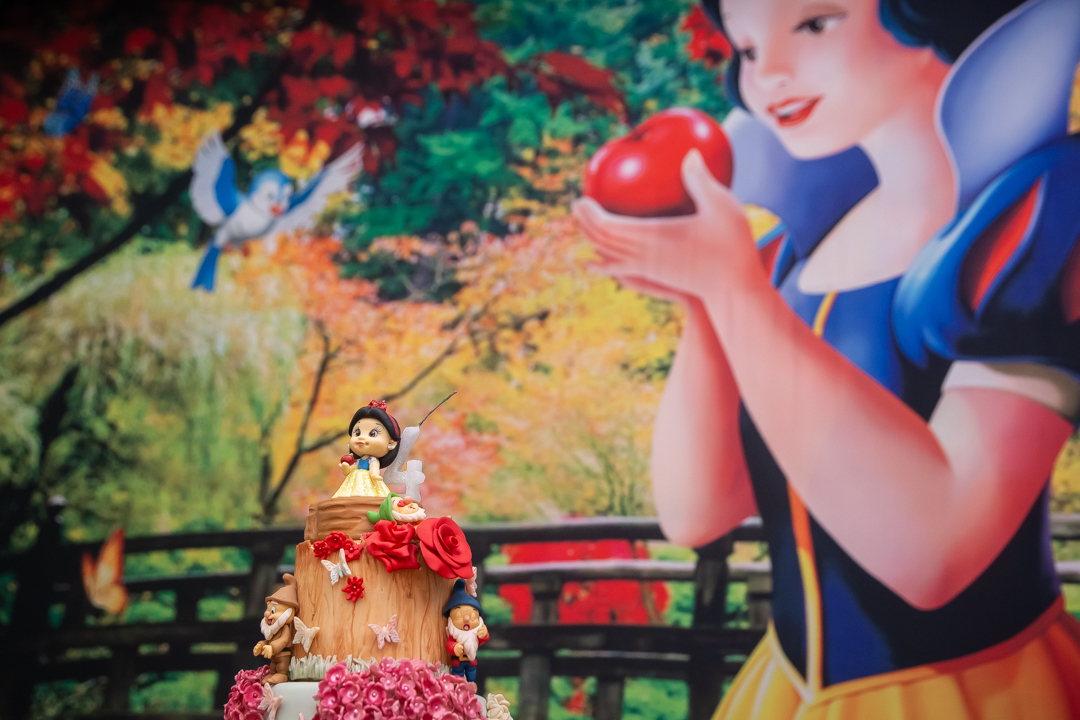 festa de 4 anos aniversário 4 aninhos cobertura fotográfica de festa infantil em BH fotografia de aniversário infantil fotógrafo de festas infantis em Belo Horizonte fotos de aniversário 4 anos niver tema malévola branca de neve