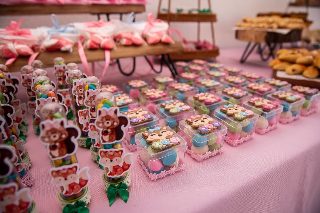 Aniversário infantil de 3 anos, festa Bosque Encantado, decoração Bosque Encantado, fotografia de aniversário infantil, cobertura fotográfica infantil, fotógrafo de festa infantil em Belo Horizonte, fotografia infantil BH, festa infantil temática