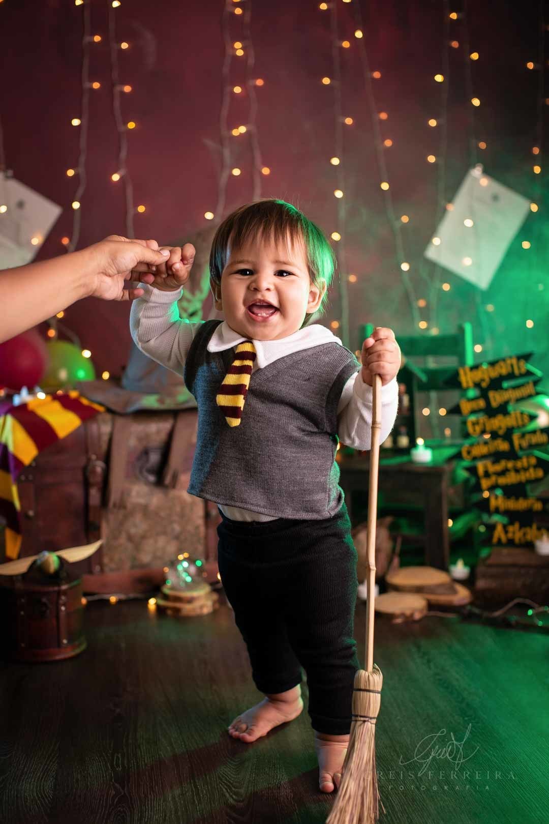 smash the cake harry potter ensaio de bebe de aniversario de 1 ano