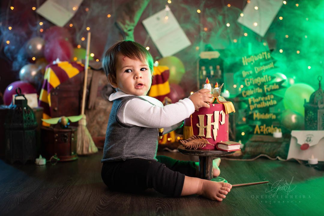 smash the cake harry potter ensaio de bebe de aniversario de 1 ano