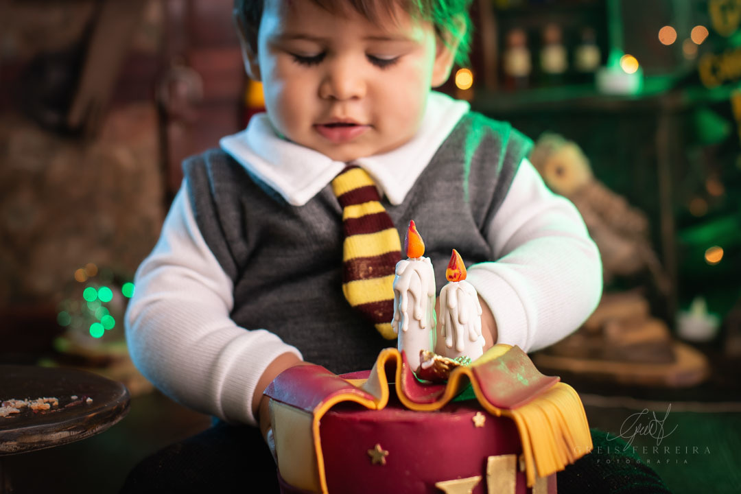 smash the cake harry potter ensaio de bebe de aniversario de 1 ano
