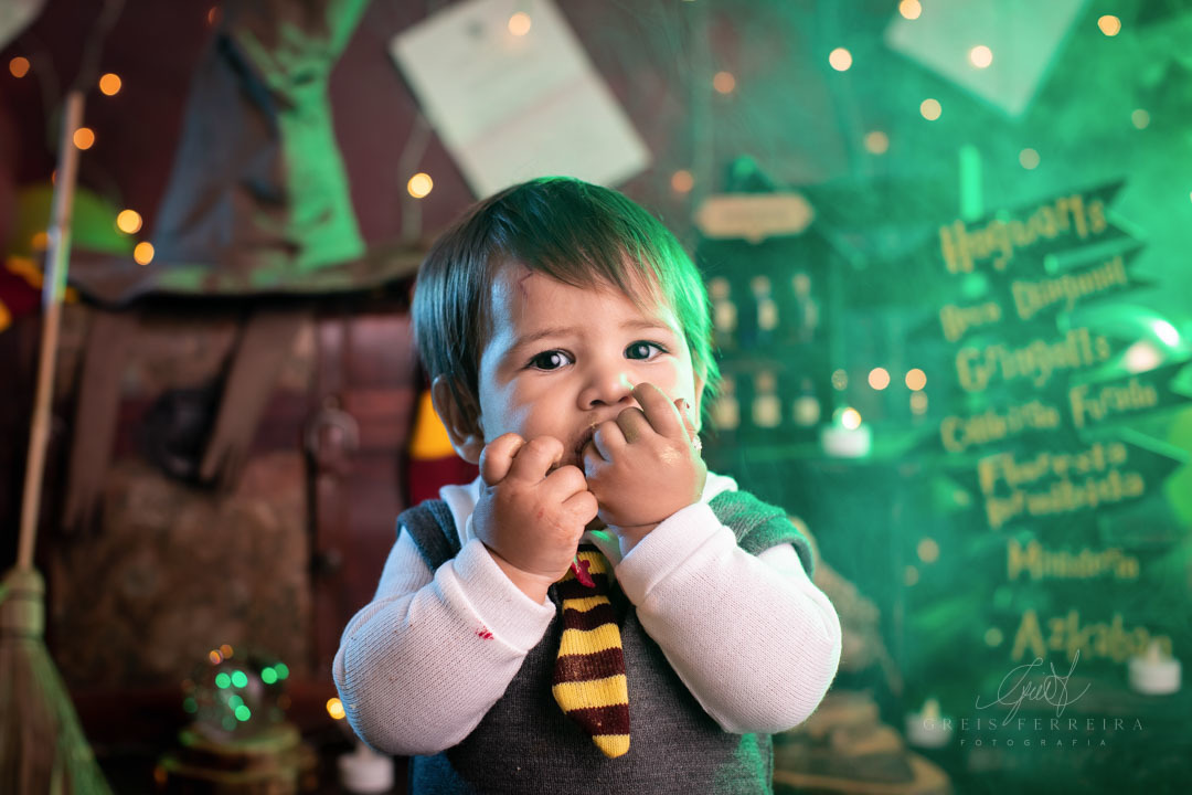smash the cake harry potter ensaio de bebe de aniversario de 1 ano