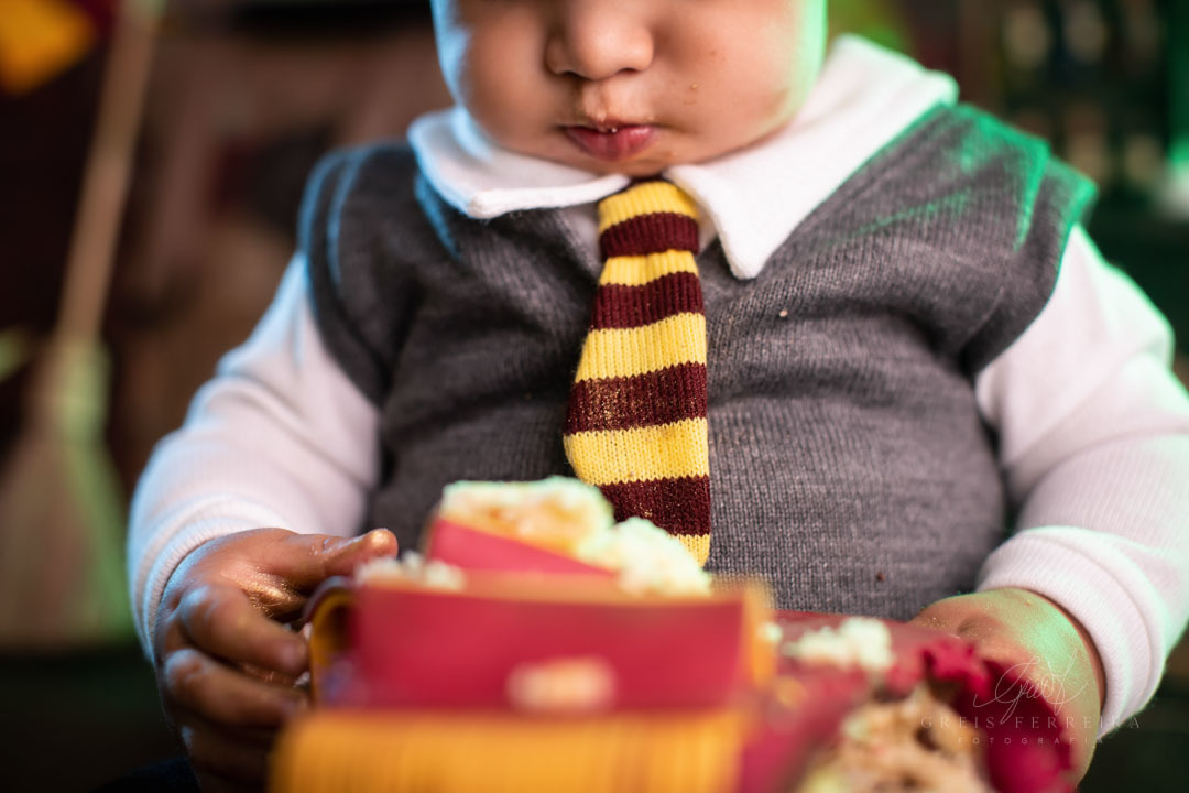 smash the cake harry potter ensaio de bebe de aniversario de 1 ano