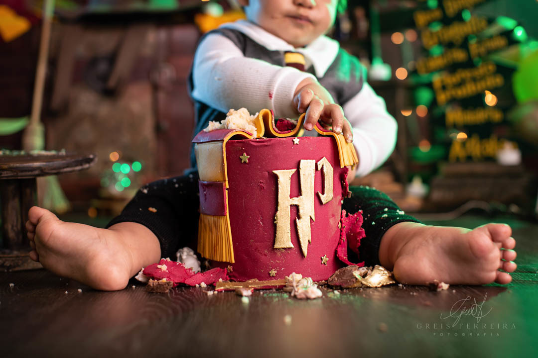 smash the cake harry potter ensaio de bebe de aniversario de 1 ano