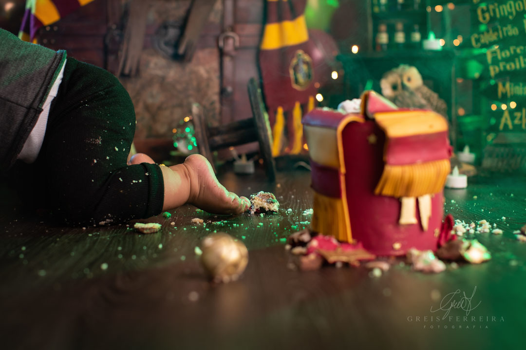 smash the cake harry potter ensaio de bebe de aniversario de 1 ano