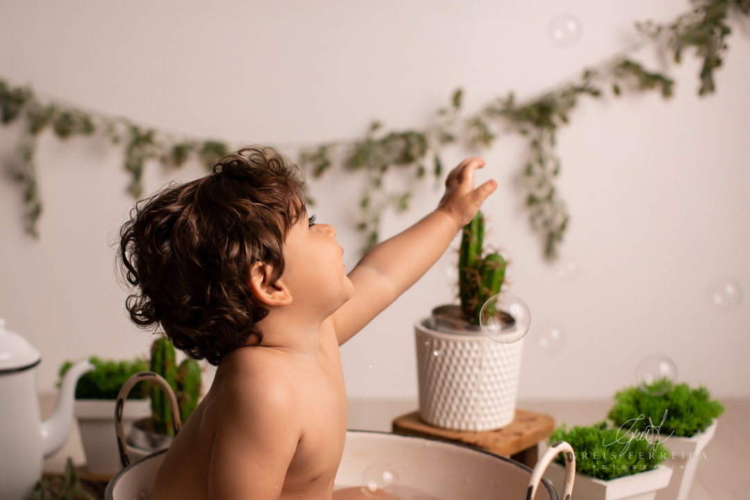 Bento | Smash the cake de 1 ano