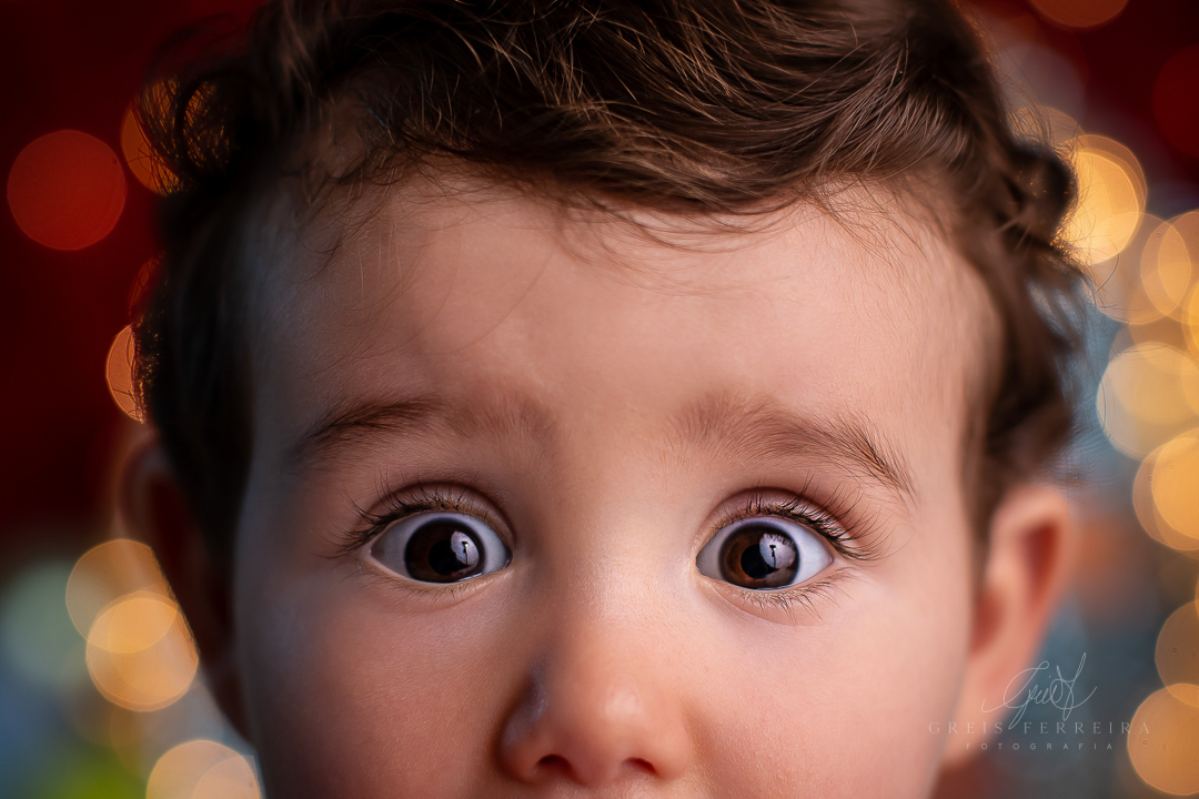 smash the cake circo do mundo bita ensaio de aniversario de bebe de 1 ano