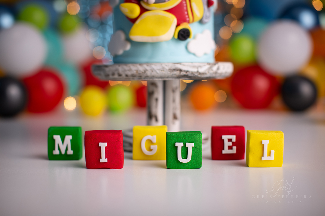 smash the cake circo do mundo bita ensaio de aniversario de bebe de 1 ano