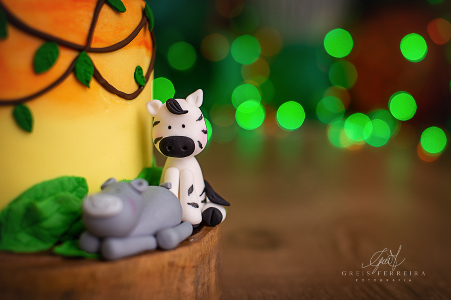 Rafael  | Smash the cake | Ensaio de 1 ano