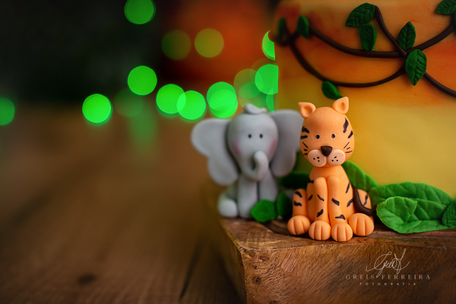 Rafael  | Smash the cake | Ensaio de 1 ano