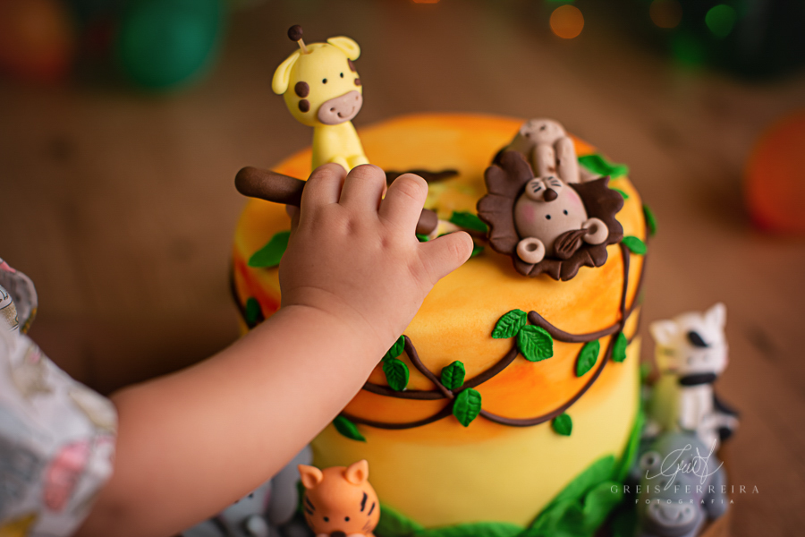 Rafael  | Smash the cake | Ensaio de 1 ano