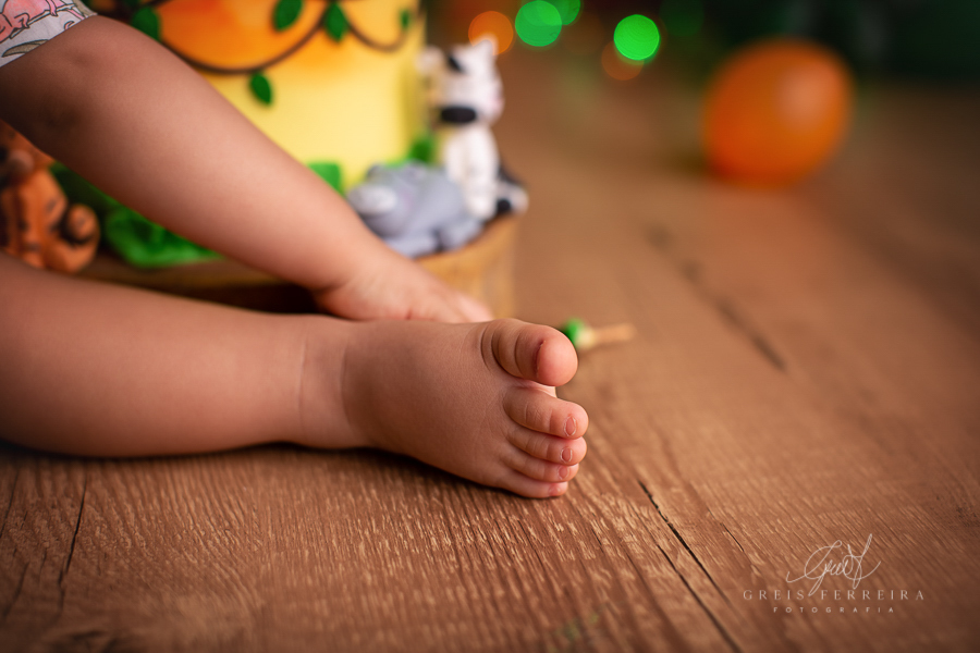 Rafael  | Smash the cake | Ensaio de 1 ano