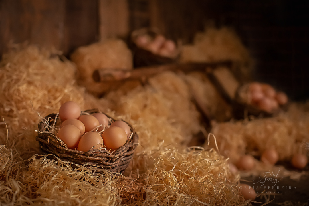 Ensaiodebebeembh_pintinhoamarelinhoGF_Clara_Duarte1A4M_034