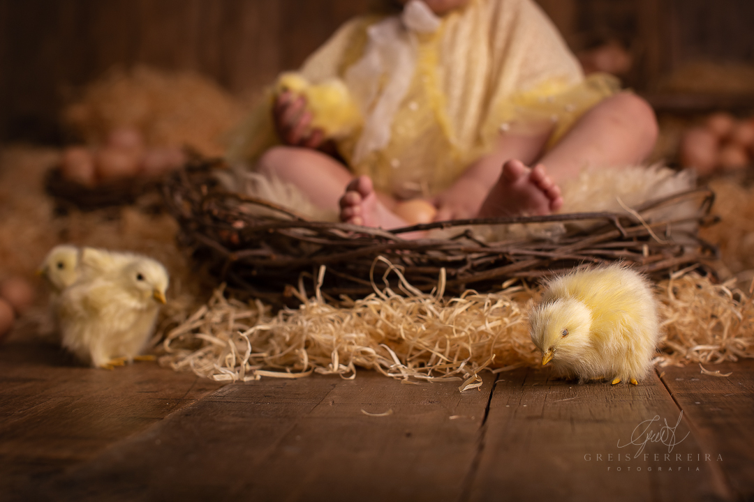 Ensaiodebebeembh_pintinhoamarelinhoGF_Clara_Duarte1A4M_039