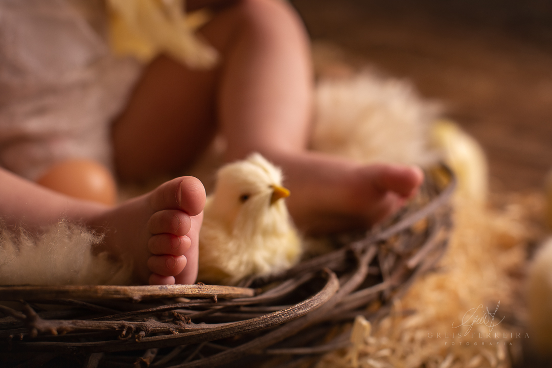 Ensaiodebebeembh_pintinhoamarelinhoGF_Clara_Duarte1A4M_047