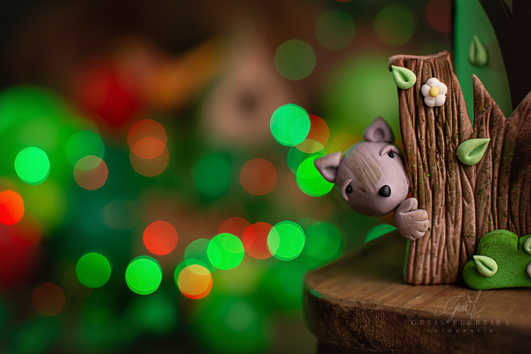 smashthecakeembh_chapeuzinhovermelho_GF_Maria_Antonella_Chaves3A_020