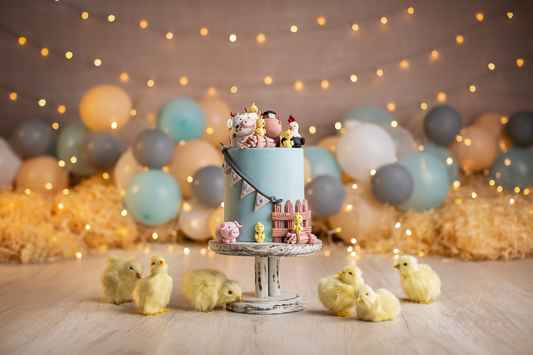 smash the cake fazendinha ensaio de bebe 1 aninho 12 meses