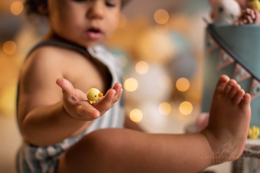 smash the cake fazendinha ensaio de bebe 1 aninho 12 meses