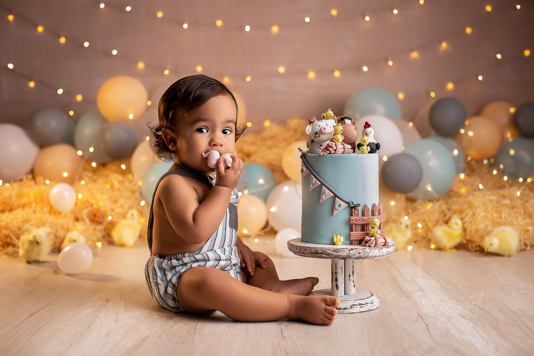 smash the cake fazendinha ensaio de bebe 1 aninho 12 meses